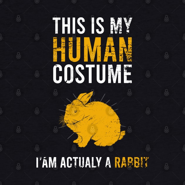 this is my human costume Iam actualy a rabbit by Teekingdom